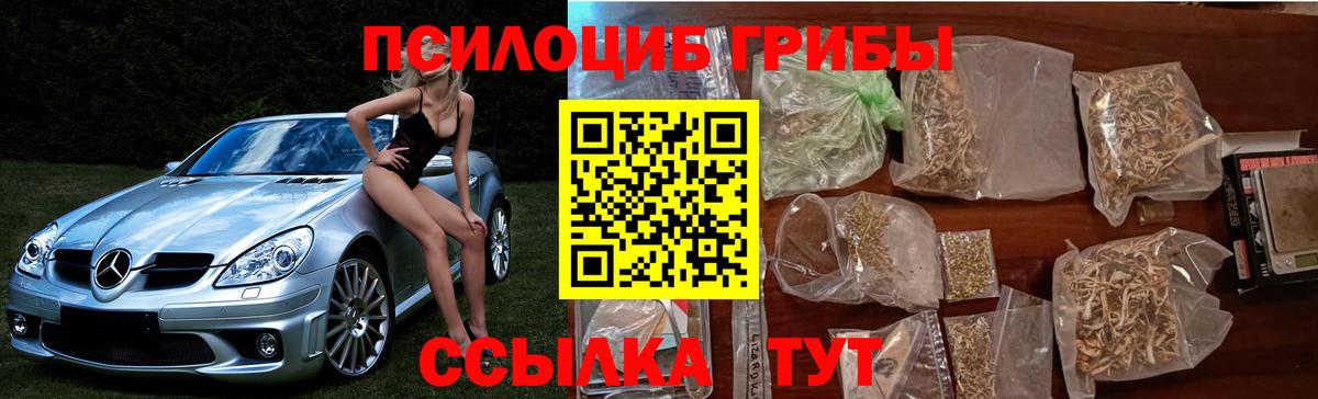 Галлюциногенные грибы прущие грибы Сарапул